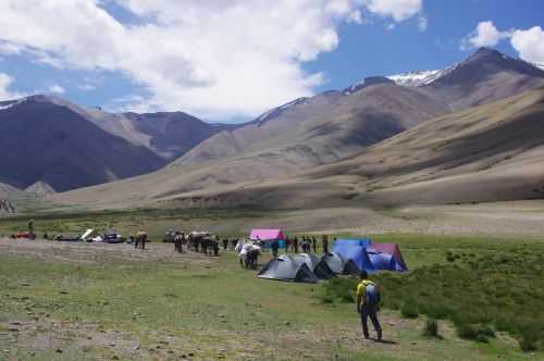 TREKKING IN LADAKH | CHANGTANG 2017